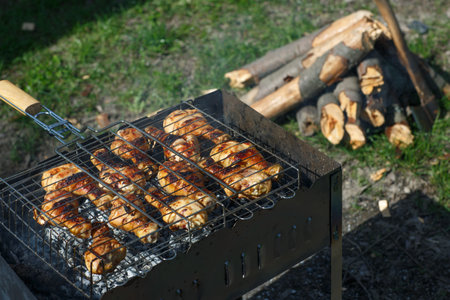 Delicious grilled chiken meat over the coals on a barbecueの写真素材
