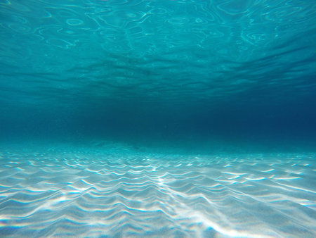 Tranquil underwater scene with copy spaceの写真素材