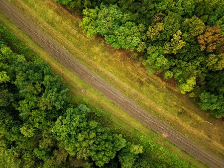 View from height to a railway surrounded by forestの写真素材