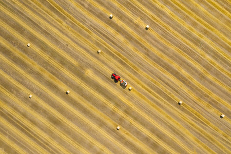 Top view of haymaking processed into round bales. Red tractor works in the field.