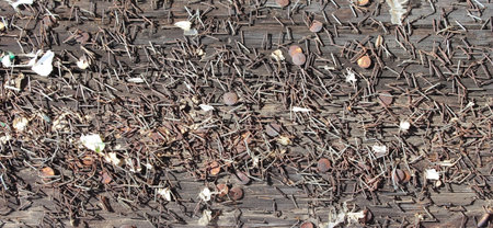 Old wooden pillar surface with rusty pins and staples, background, textureの写真素材