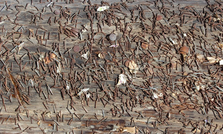 Old wooden pillar surface with rusty pins and staples, background, textureの写真素材