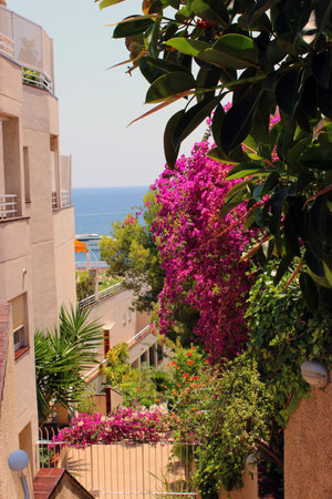 Beautiful sea view between housesの写真素材