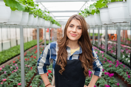 Florists woman working with flowers in a greenhouse.の写真素材