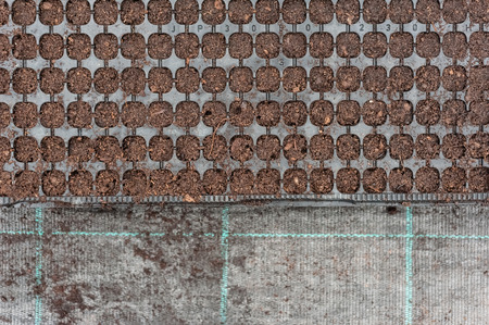 Plastic tray with soilの写真素材