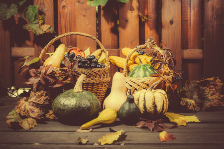 Autumn and Thanksgiving concept. Seasonal fruit and pumpkins in basket on wood background.の写真素材