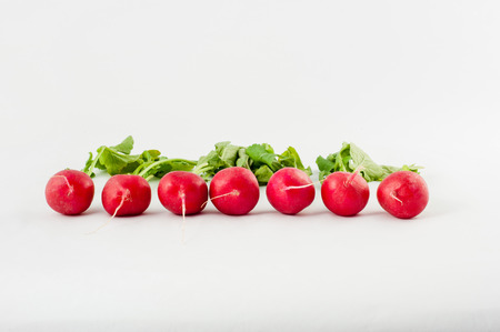 Small garden radish isolated on white background cutoutの写真素材