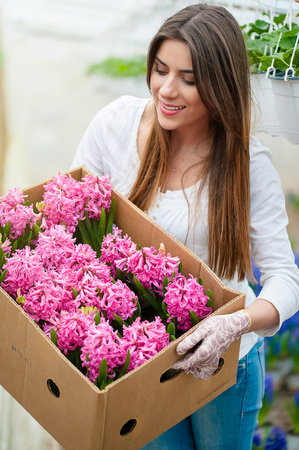Young woman holding a crate with pink hyacinth flower in a greenhouse.の写真素材
