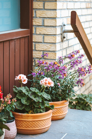Main entrance door to a brick family house decorated with plants and flowers in pots on the stairs.の写真素材