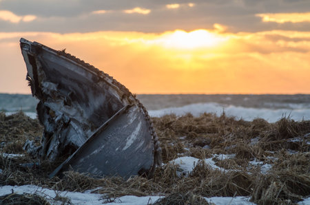Broken boat on the bank of springの写真素材