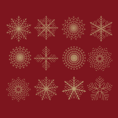The Set of 12 vector abstract snowflakesのイラスト素材
