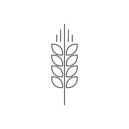 Wheat spike vector   isolated on white, grain ear icon element for organic food design, outline thin line style black spica symbolのイラスト素材