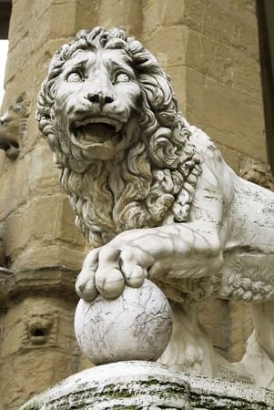 Lionの写真素材