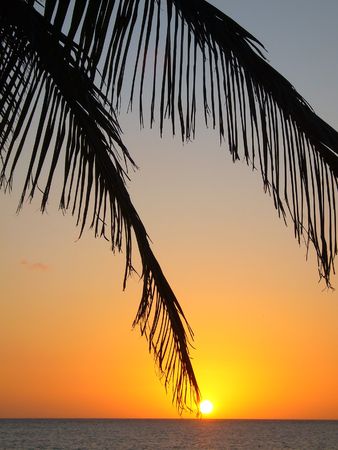 the beach in habana cityの写真素材