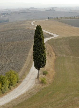 tuscanyの写真素材