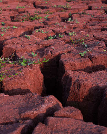 Texture of dry cracked mud. The global shortage of water on the planet. Hot and dry weather. The cracks of the swamp.の写真素材