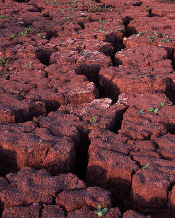 Texture of dry cracked mud. The global shortage of water on the planet. Hot and dry weather. The cracks of the swamp.の写真素材