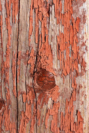 Seamless texture of old wood with cracks and pale red paint. Remains of old paint on the painted wood surface.の写真素材