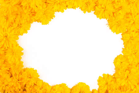 Isolated frame and border of bright yellow spring flowers close-up. Summer and spring blooming yellow flowers. Bright floral card. Gardening, botanical, texture and flora concept - beautiful flowers.の写真素材