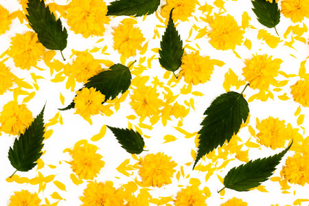 Floral background, frame from yellow flowers and leaves on a white background. Flat lay composition,...