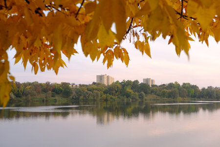 Autumn fall in park with yellow leaves trees and lake.の写真素材