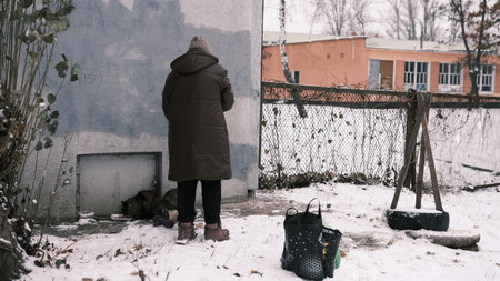 An elderly woman feeds two stray cats on a winter day back view, taking care of stray animals.の写真素材