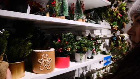 The woman selects Christmas home decor from artificial pine tree branches in pots, creating a festive and cozy holiday atmosphere.の写真素材