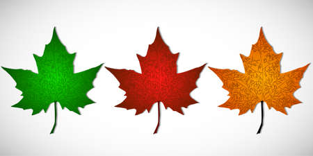 Set of autumn maple leaves of different colors isolated on a white background. Vector illustrationのイラスト素材