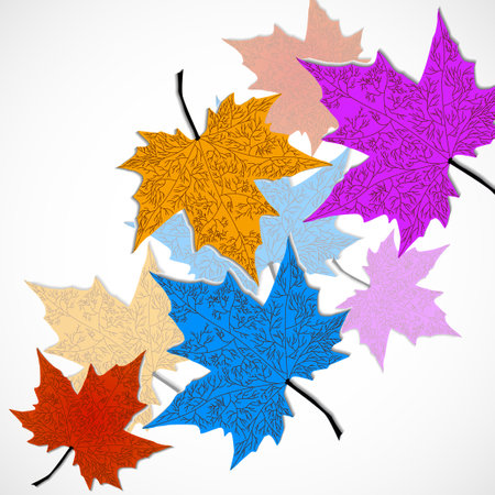 Colorful autumn maple leaves on white background. vector illustrationのイラスト素材