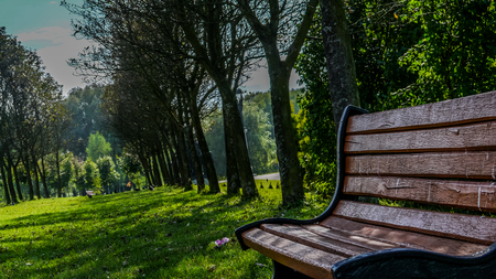 Bench in the parkの写真素材