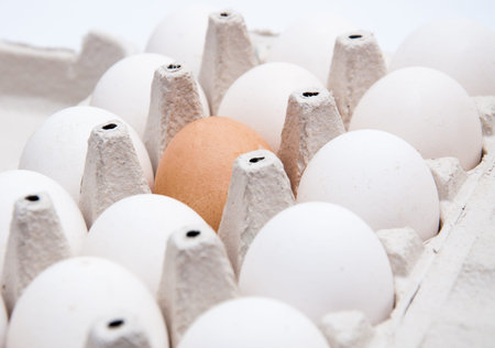 Eggs in carton box on a white backgrond