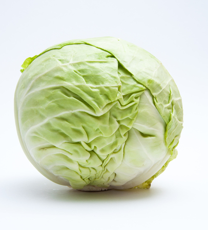 Green cabbageの写真素材