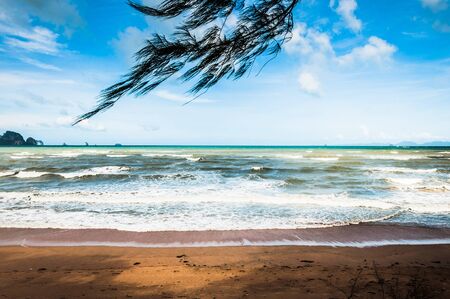 Tropical beach with green tree above and beautiful view on the oceanの写真素材
