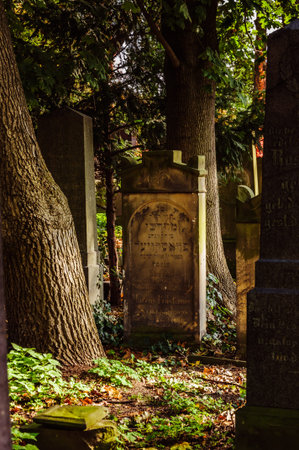 Wroclaw, Poland - October 15, 2017: An ancient entombment on the old cemetery, few days before...