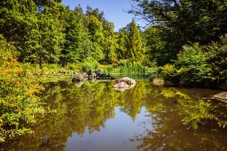 Small brown lake surrounded by green bushes and trees in the parkの写真素材