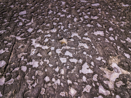 Sea border surface on Malta