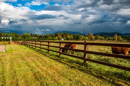 Late afternoon on the farm with cloudy paysage on the backgroundの写真素材