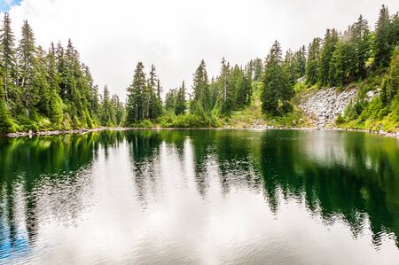 Clear mountain lake surrounded by evergreen forestの写真素材