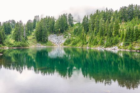 Clear mountain lake surrounded by evergreen forestの写真素材