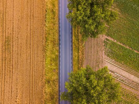 Large trees, green and brown fields surrounding the highwayの写真素材