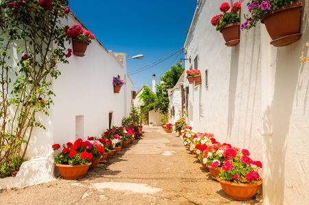 Old street with colored flowers in the pots on sunny day in Italyの写真素材