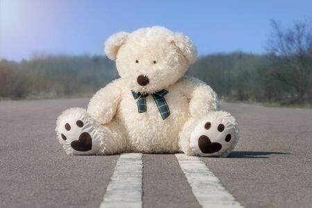 crema teddy bear in tie butterfly sitting on the road double lineの写真素材
