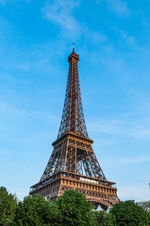 Bottom view on Eiffel tower surrounded by small green treesの写真素材
