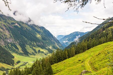 Green forest and grass covering Austrian Alps with small morning sun raysの写真素材