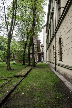 Internal courtyard covered with green mossの写真素材