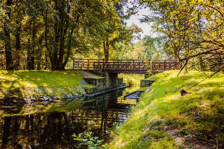 Small river in the green sunny forestの写真素材