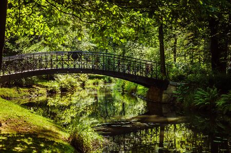 Sunny day in the deep green park with a small river under the bridgeの写真素材