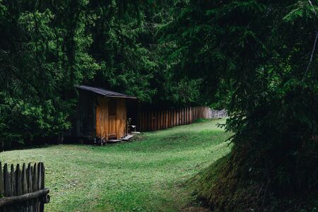 Small abandoned wooden hut in the middle of Alpian evergreen forestの写真素材