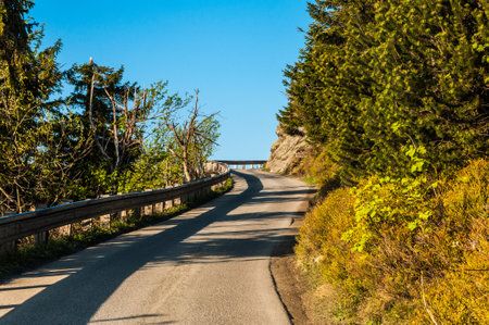 Mountain road between the rocks and forestの写真素材