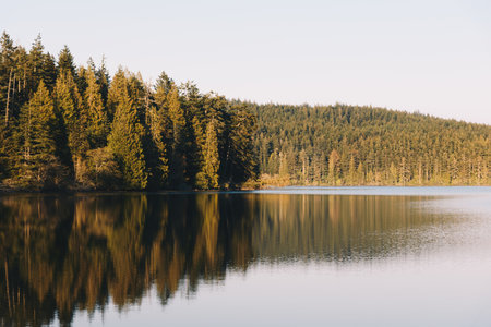 Evergreen forest surrounding calm mountain lakeの写真素材